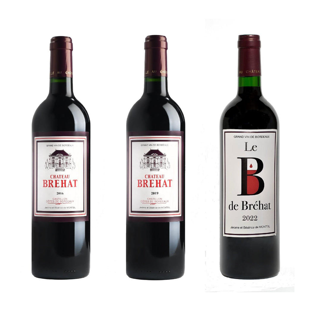 Offre Découverte Castillon Côtes de Bordeaux, 3 Bouteilles